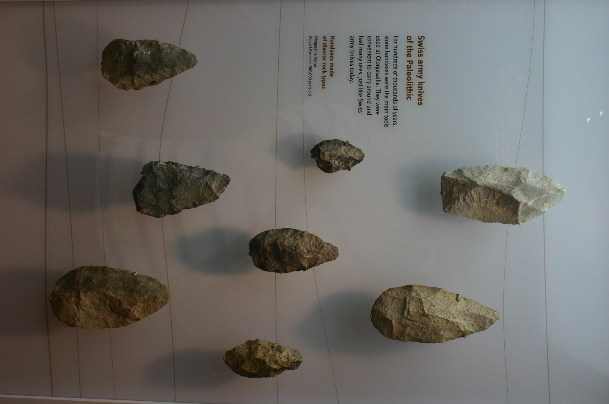 File:Olorgesailie axes.jpg - Wikimedia Commons