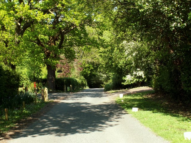 Part of Mope Lane in Wickham Bishops - geograph.org.uk - 803407