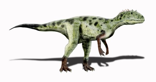 File:Piatnitzkysaurus NT.jpg