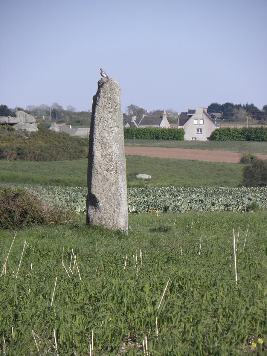 Menhir d'Irvit à Plouescat  France Bretagne Finistère Plouescat 29430