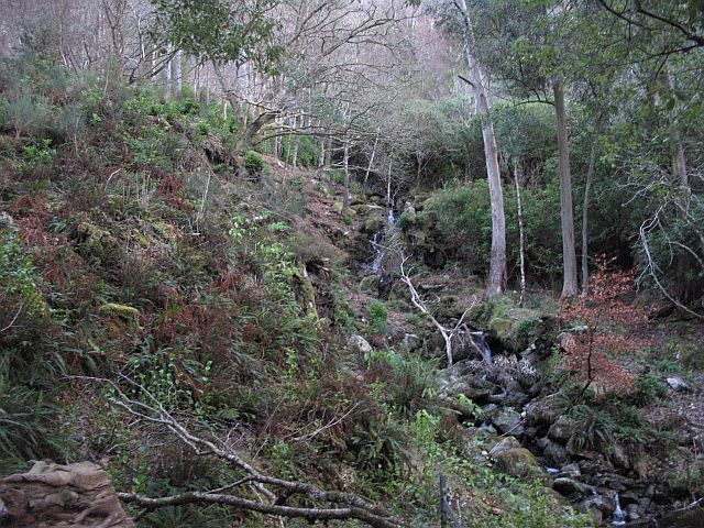 File:Policy woodlands, Kinloch Hourn - geograph.org.uk - 652769.jpg