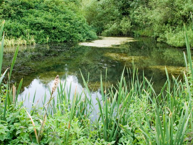 File:Pool, Priorslee - geograph.org.uk - 872327.jpg