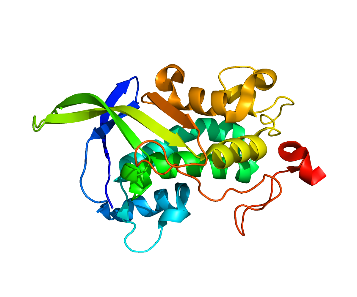 TRIALS: A Fight for Children with Niemann-Pick Type C, a Fatal Genetic  Disease