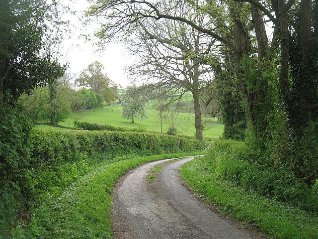 File:Road, Whyle - geograph.org.uk - 1294170.jpg