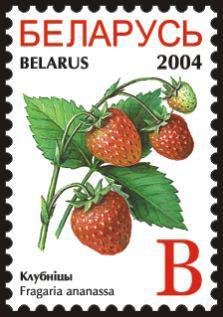 File:Stamp of Belarus - 2004 - Colnect 281053 - Garden strawberries - Fragaria ananassa.jpeg