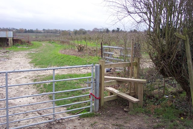 Stile and footpath into orchards near Sissinghurst - geograph.org.uk - 293770