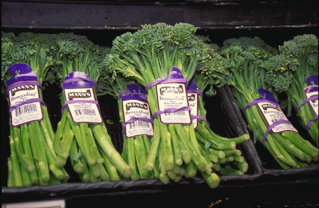 File:USDA Broccolini.jpg