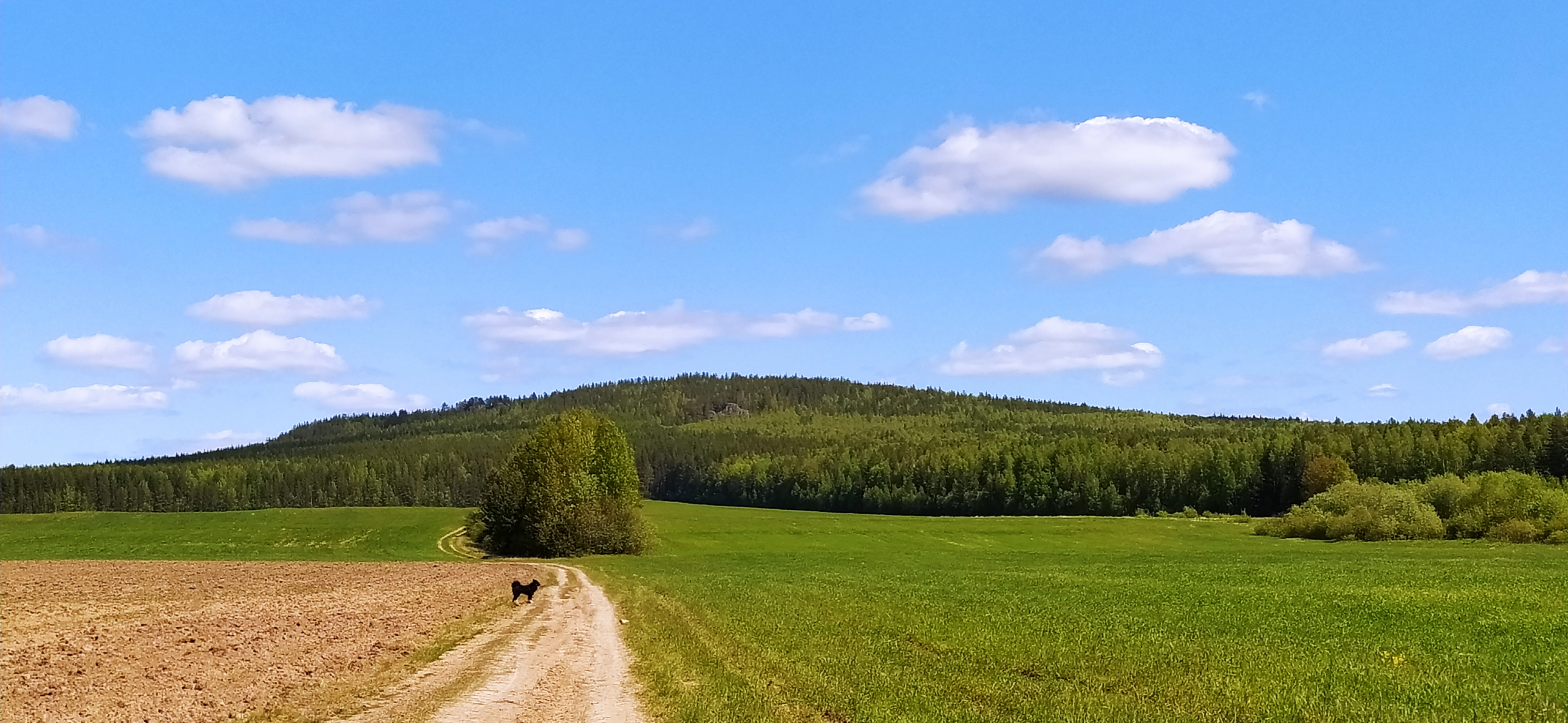 бобруйск луковая гора