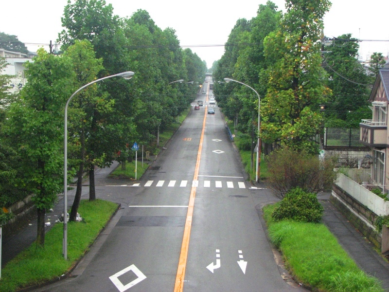 多摩田園都市 開発35年の記録 東京急行電鉄 - 趣味、スポーツ、実用