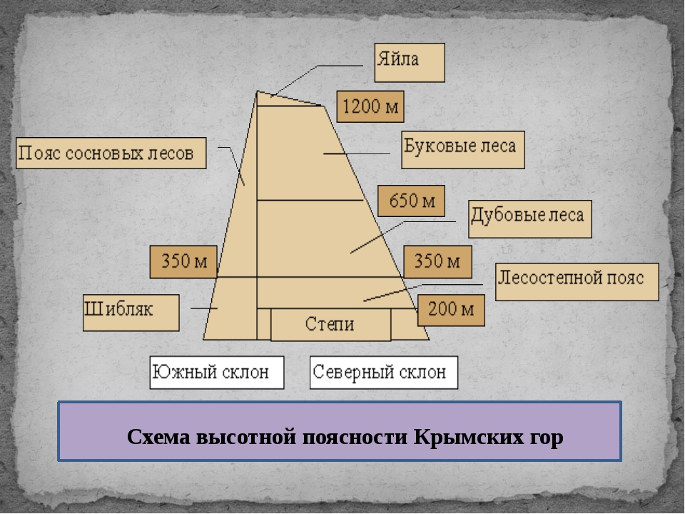 Схема высотных поясов в горах