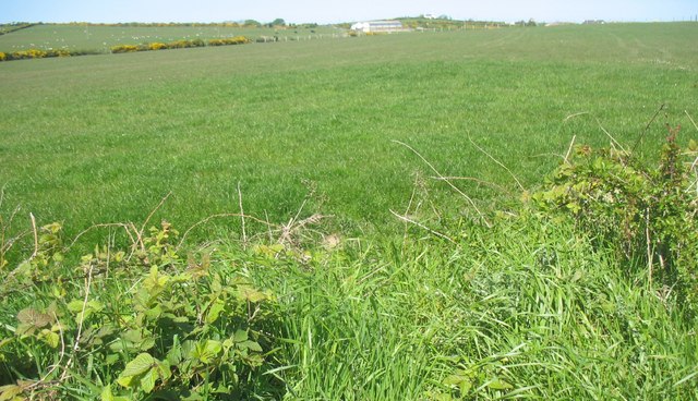 File:A tumulus at Pen-y-fynwent - geograph.org.uk - 1300007.jpg