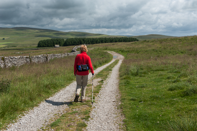 File:Along the Pennine Bridleway - geograph.org.uk - 4075033.jpg