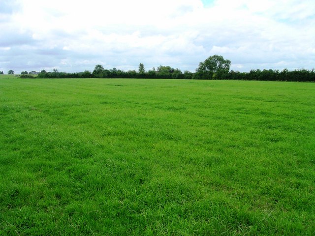 File:Babcary Meadows along public footpath - geograph.org.uk - 542833.jpg