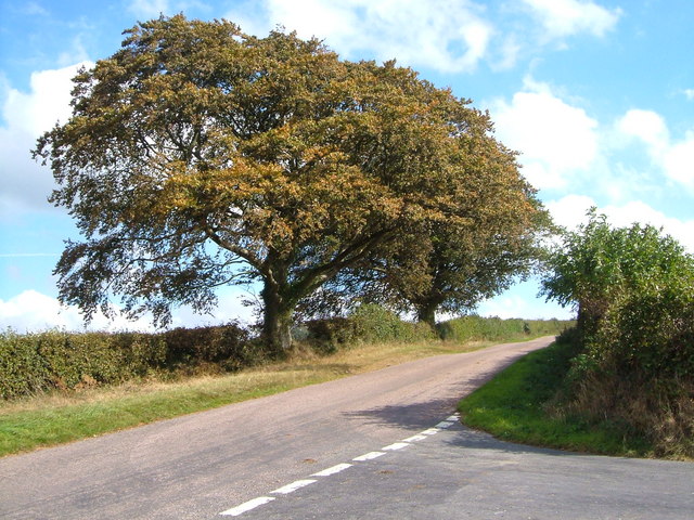 File:Beechcombe Cross - geograph.org.uk - 246826.jpg