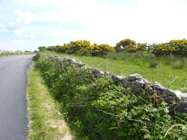 File:Bend in the B8016 near Starchmill, Islay - geograph.org.uk - 3519304.jpg