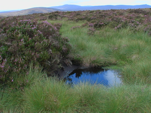 Boggy pool on moorland west of Goyle Hill - geograph.org.uk - 1453677