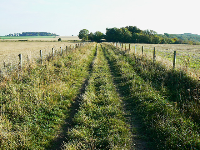 Bridleway to Roundway Hill Covert, near Heddington - geograph.org.uk - 1536340