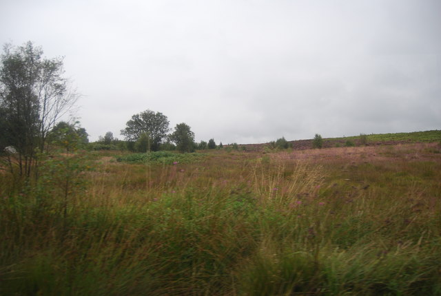 File:Brimham Moor - geograph.org.uk - 4260111.jpg