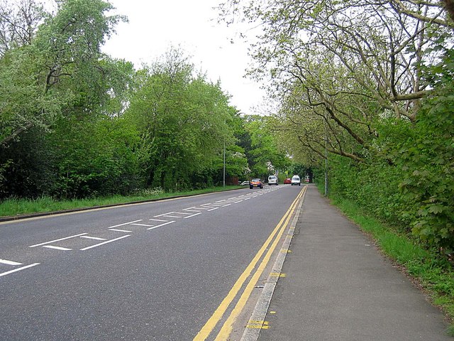 File:Bush Road - geograph.org.uk - 805821.jpg