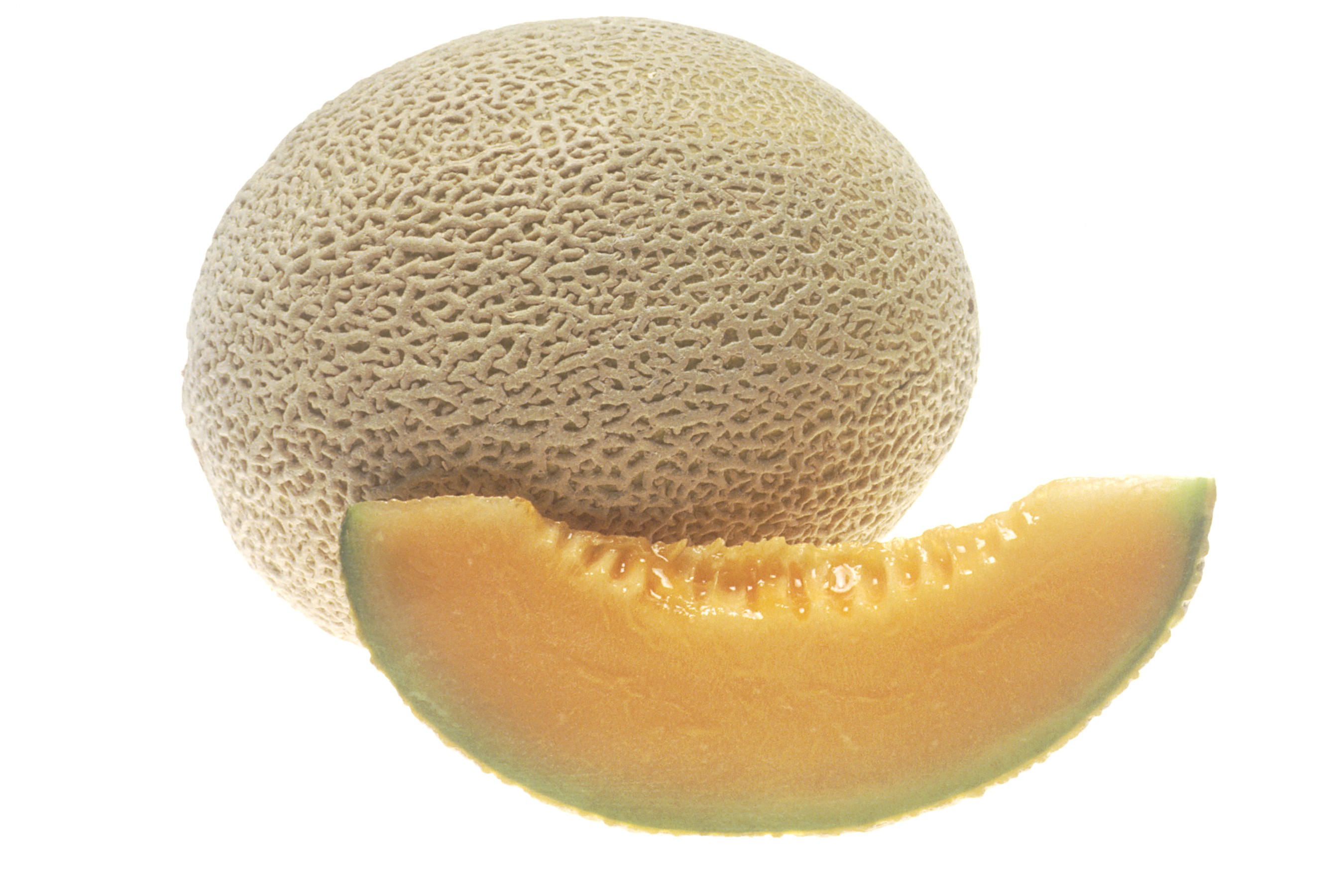 Cantaloupe.jpg.