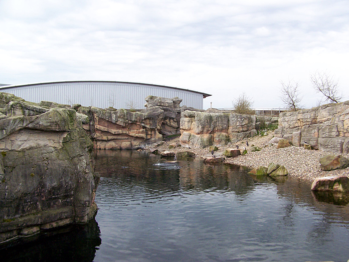 File:Dierenpark Emmen - penguin stay.jpg