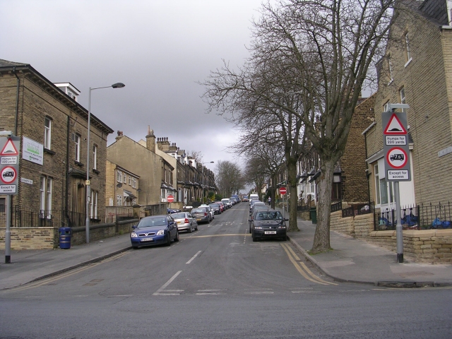 File:Duckworth Terrace - Duckworth Lane - geograph.org.uk - 1170846.jpg