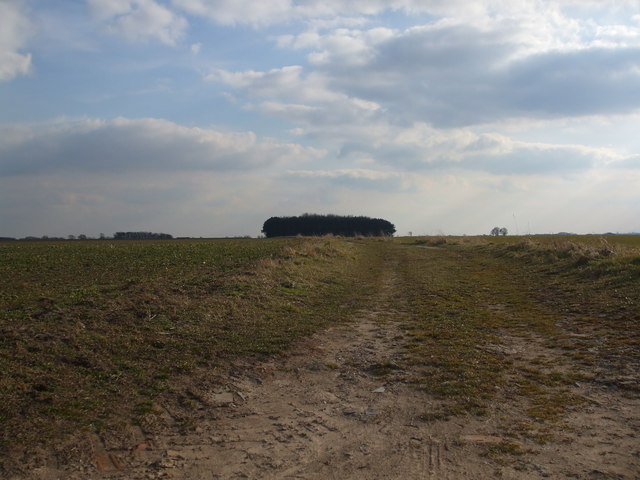 Farm Track on Scotton Common - geograph.org.uk - 1757376