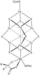 File:FeMoco Structure.jpg