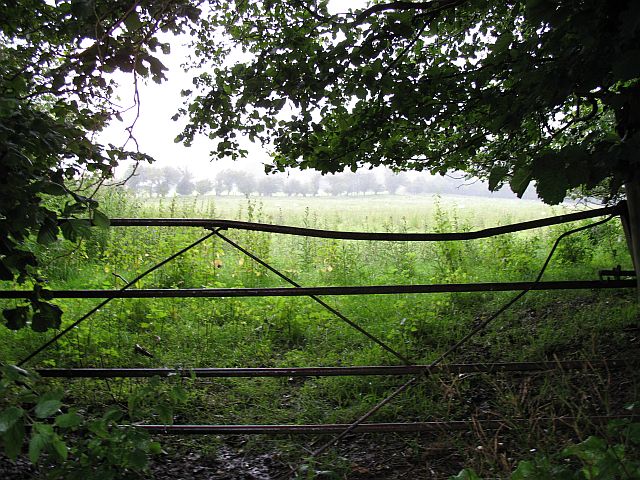 File:Gateway near Lower House - geograph.org.uk - 506892.jpg