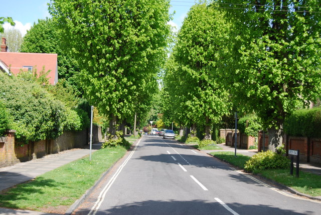 File:Gordon Rd - geograph.org.uk - 1291008.jpg