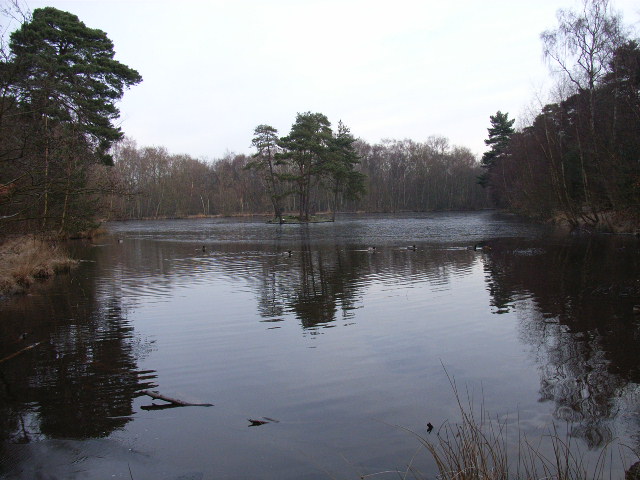 Heath Pool - geograph.org.uk - 121578