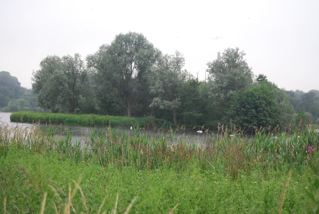 File:Island , Whitlingham Great Broad - geograph.org.uk - 3708271.jpg