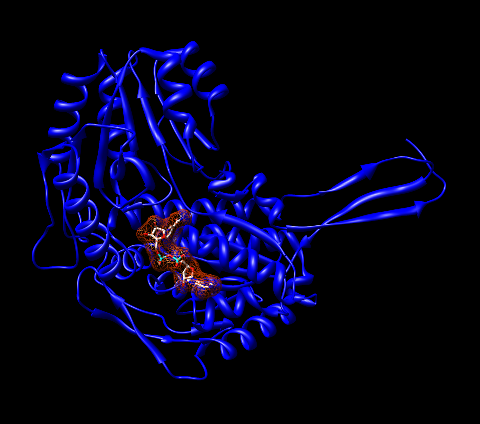 Aldehyde Dehydrogenase-avatar