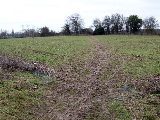 File:Muddy footpath, Fishbourne - geograph.org.uk - 1743711.jpg