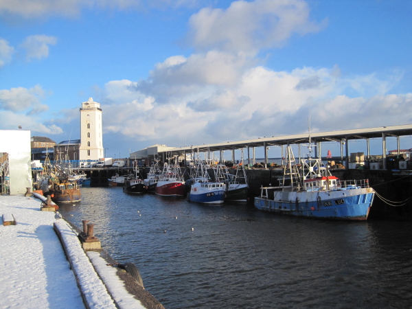 File:North Shields Fish Quay - geograph.org.uk - 1651363.jpg