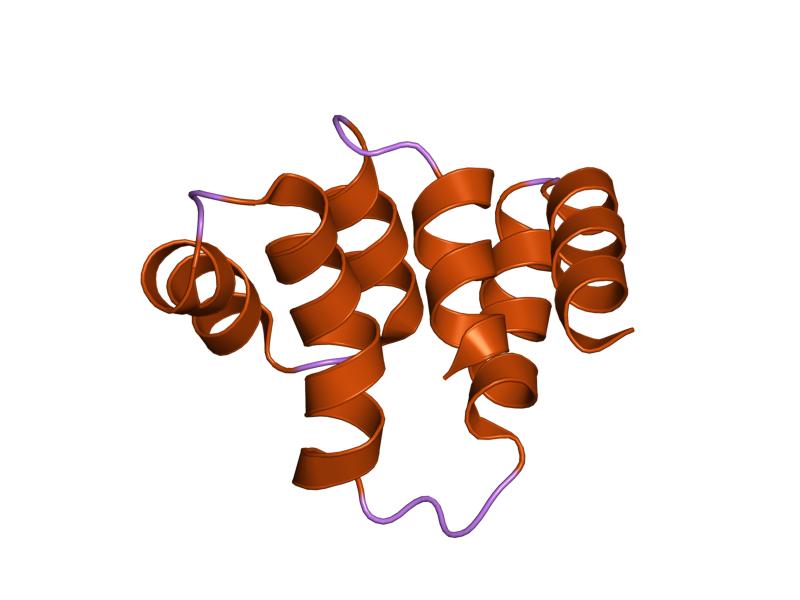 File:PDB 1ich EBI.jpg