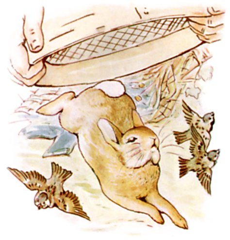 File:PeterRabbit15.jpg - Wikipedia