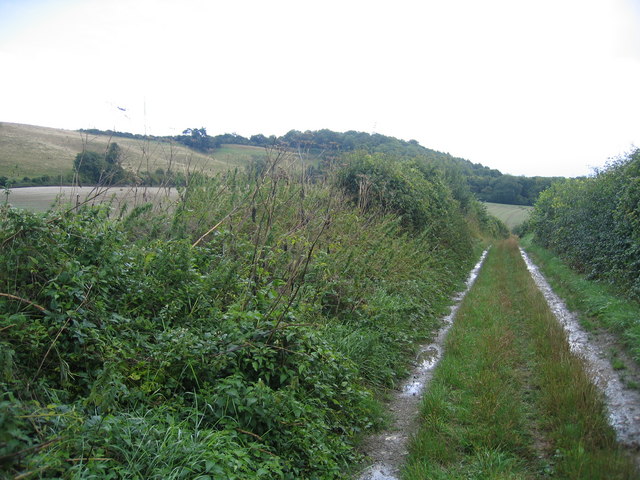 File:Pilgrim's Way, North Downs Way and ancient trackway combined - geograph.org.uk - 228122.jpg