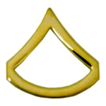 Illinois Master Trooper insignia PrivateFCpin.jpg