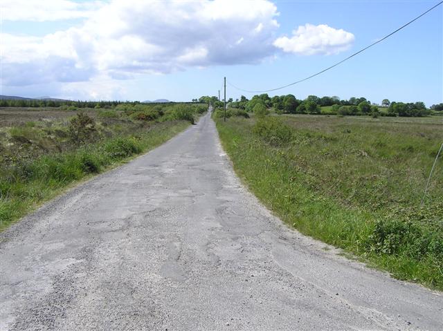 File:Road at Isle of Grallagh - geograph.org.uk - 1349190.jpg