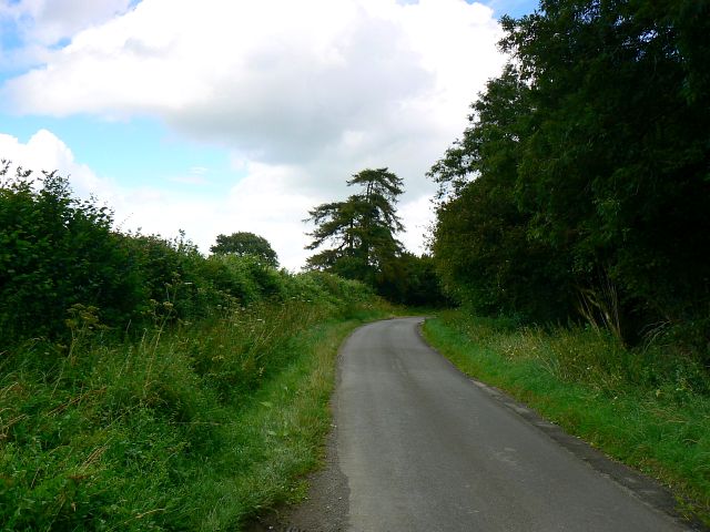 File:The road past Morris's Copse, Flaxlands - geograph.org.uk - 903047.jpg