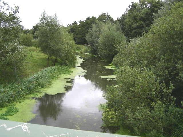 Tranquil River Roding - geograph.org.uk - 952743