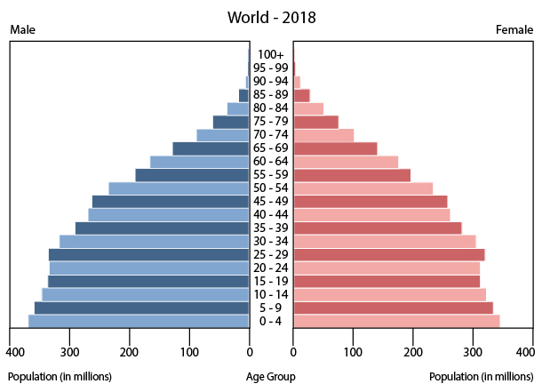 Fileworld Population Pyramid 2018 Wikimedia Commons