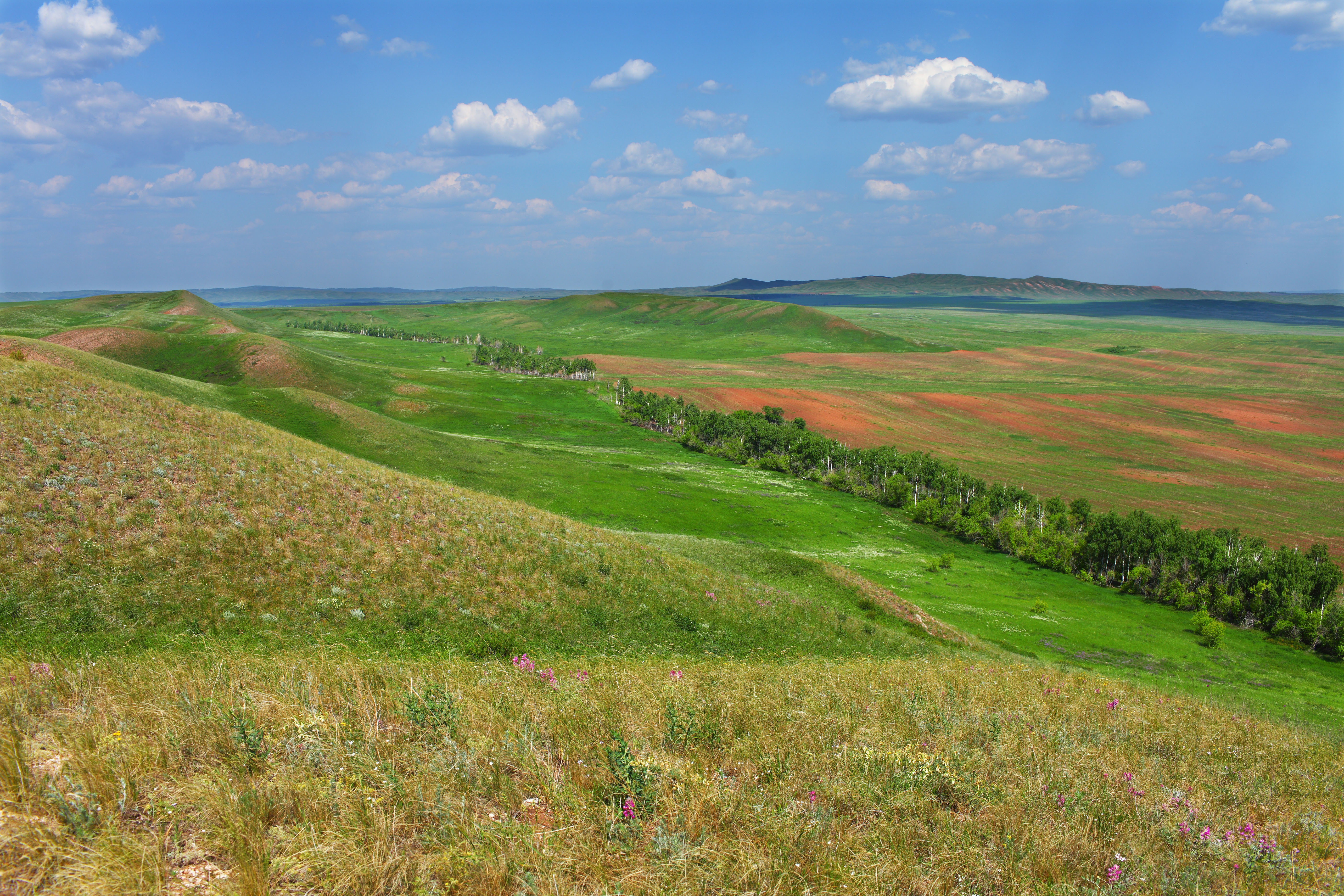 Погода в бишкаине