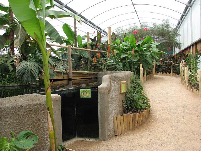 File:Amazona - the new Zoo Park in Cromer - geograph.org.uk - 883289.jpg