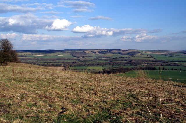 Beacon Hill - geograph.org.uk - 831625