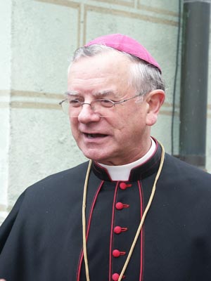 <span class="mw-page-title-main">Viktor Josef Dammertz</span> German Benedictine monk (1929–2020)