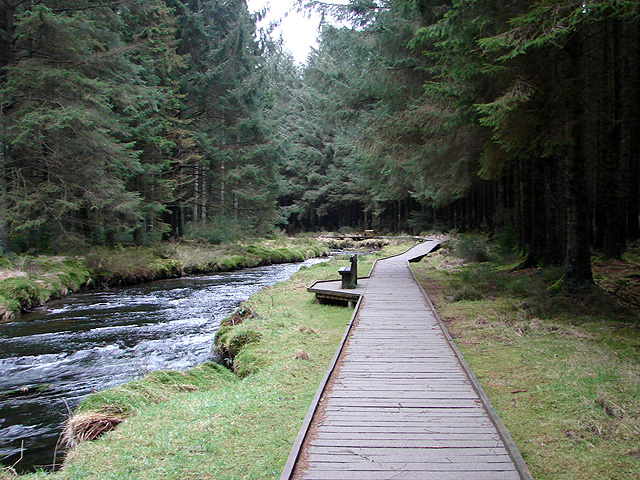 Boardwalk beside the Severn - geograph.org.uk - 1122453