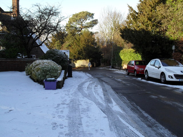 File:Brave lady in Fort Road - geograph.org.uk - 1631882.jpg