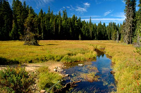 File:Cascades Meadow (Clackamas County, Oregon scenic images) (clacD0045).jpg